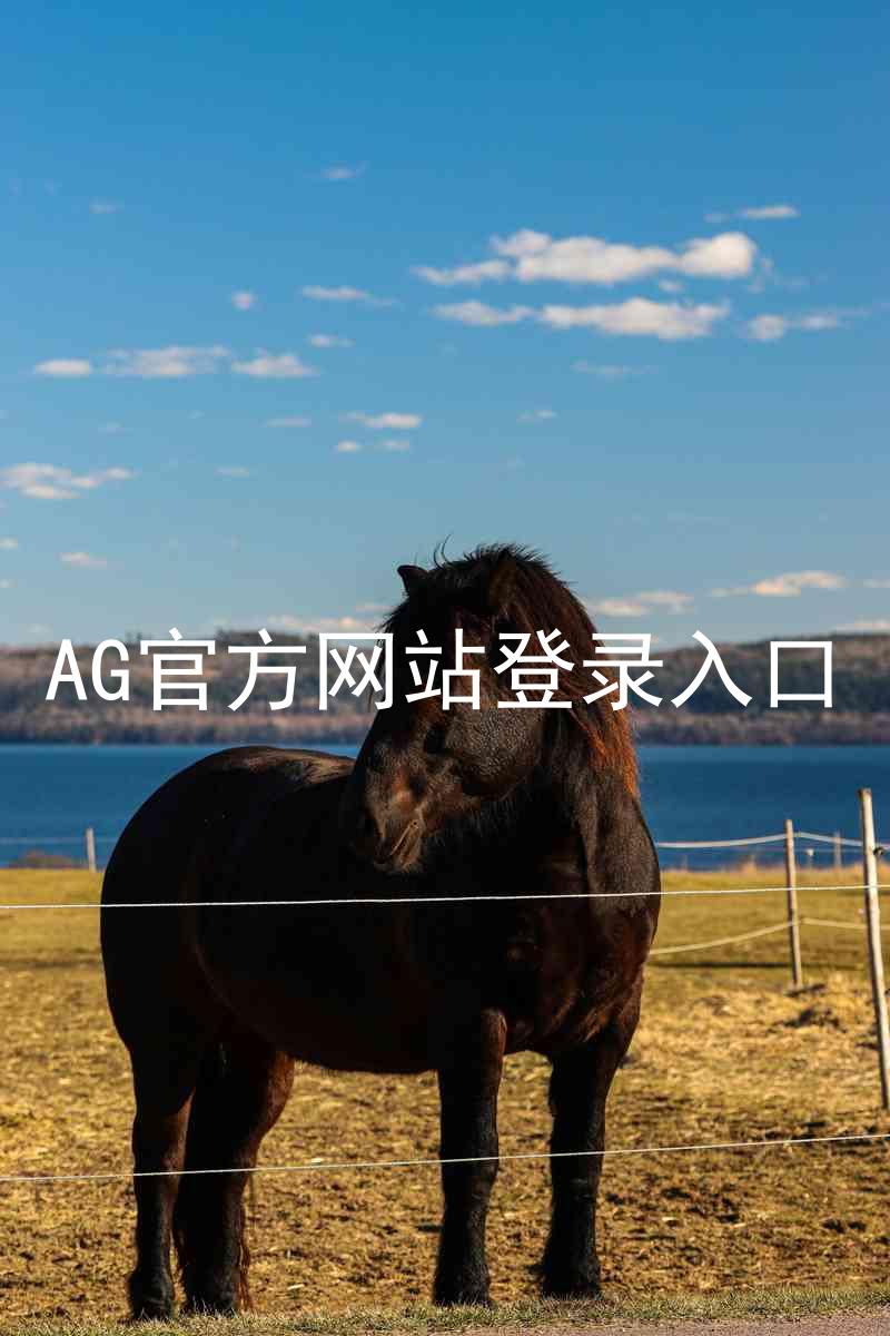 AG官方网站登录入口